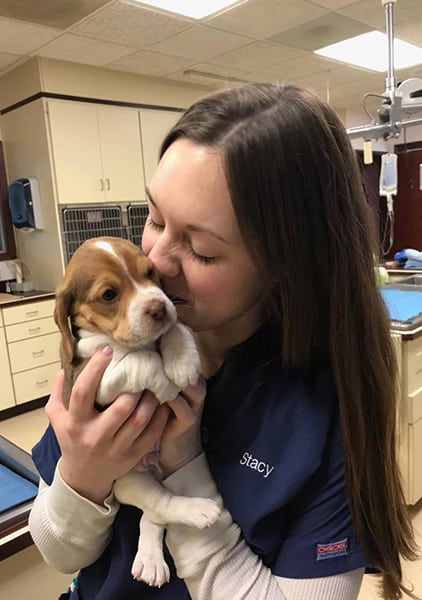 veterinarian giving a puppy a kiss on his cheeck