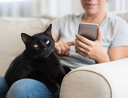 person using smartphone with black cat
