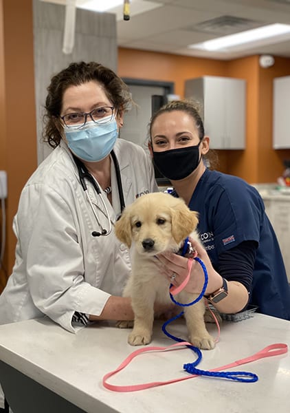 veterinarians with puppy