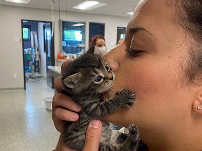 Dr Peiss kissing kitten
