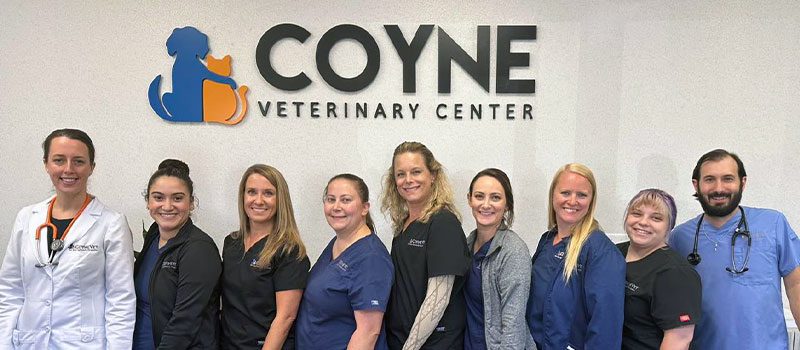 AAHA-accredited vets in portage, IN
