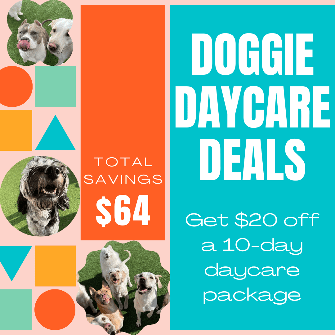 doggie daycare deals