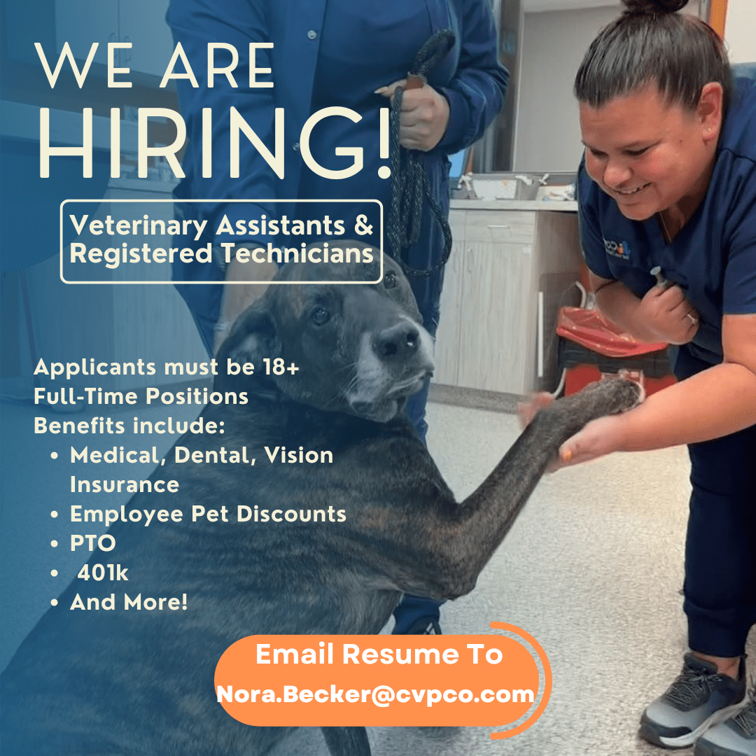 We Are Hiring Veterinary Assistants & Registered Technicians