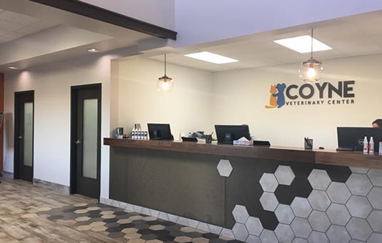 Interior shot of Coyne Portage.