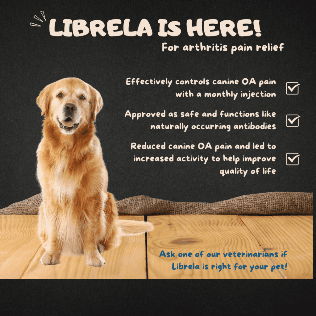 Port Librela checklist