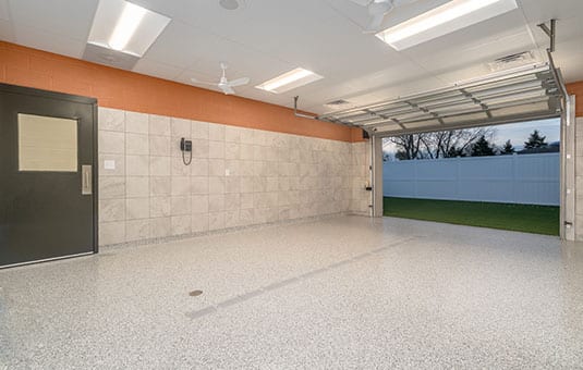 A look at the inside room of doggy daycare.