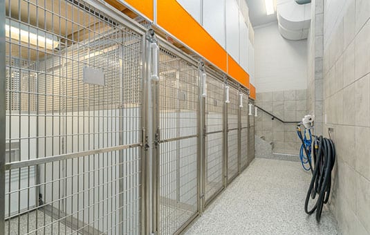 An empty dog kennel.