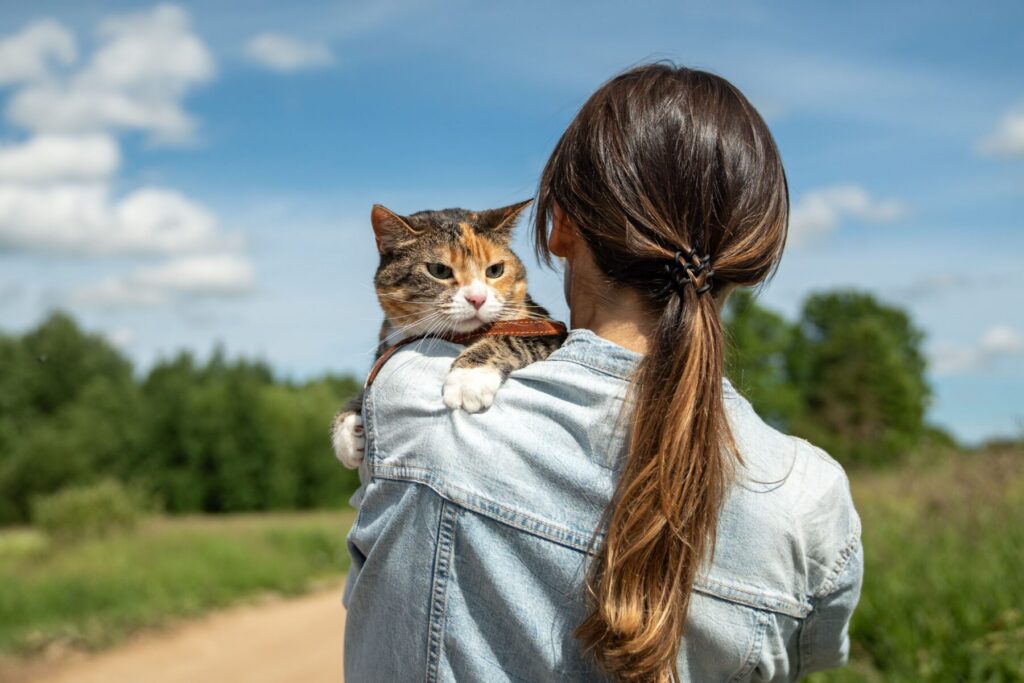International Health Certificates - Coyne Veterinary Center Portage